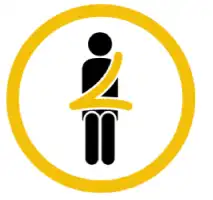 Safety Seat Belt